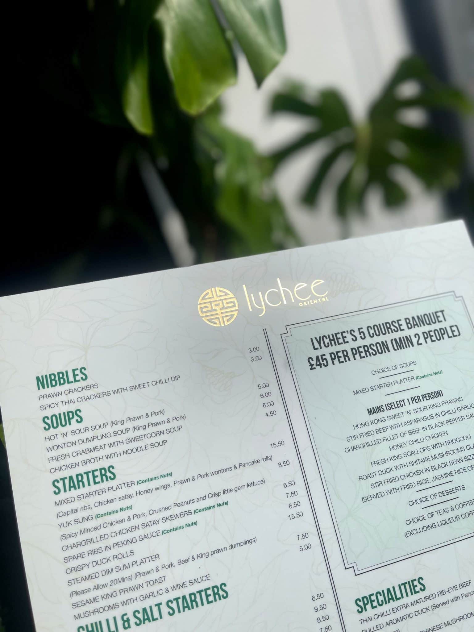 Lychee Oriental-Menu Design and Printing by Soapbox Digital